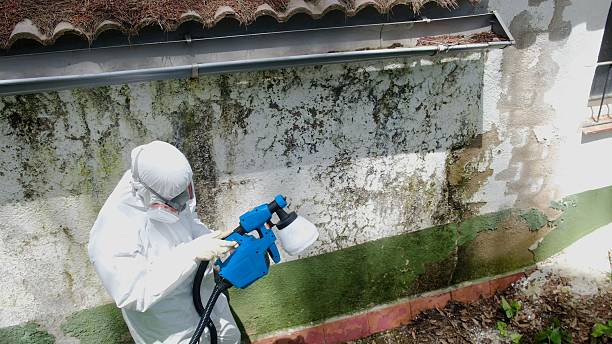Trusted Mold Removal service in Manchester, MD - Cheap Mold Removal